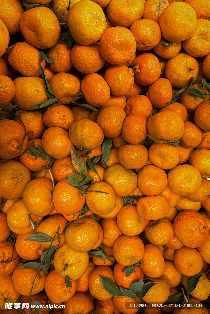 满满一堆新鲜橘子