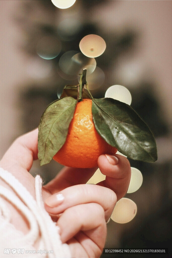 手捧带叶鲜橙