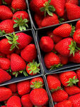 新鲜草莓整齐排列