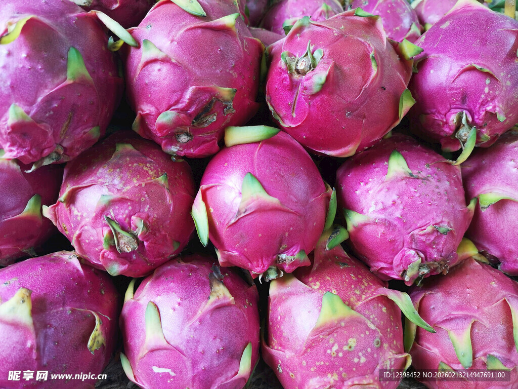 一堆新鲜火龙果