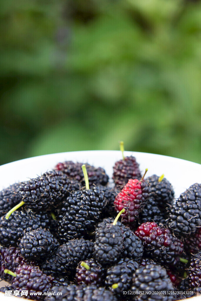 满满一盘紫黑桑葚