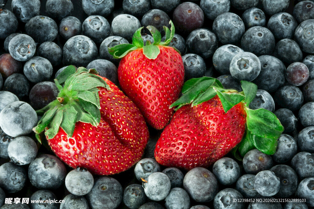 草莓蓝莓组合的诱人鲜果