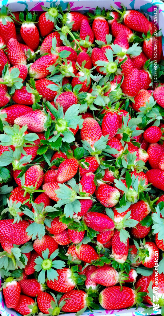 新鲜饱满的草莓堆叠