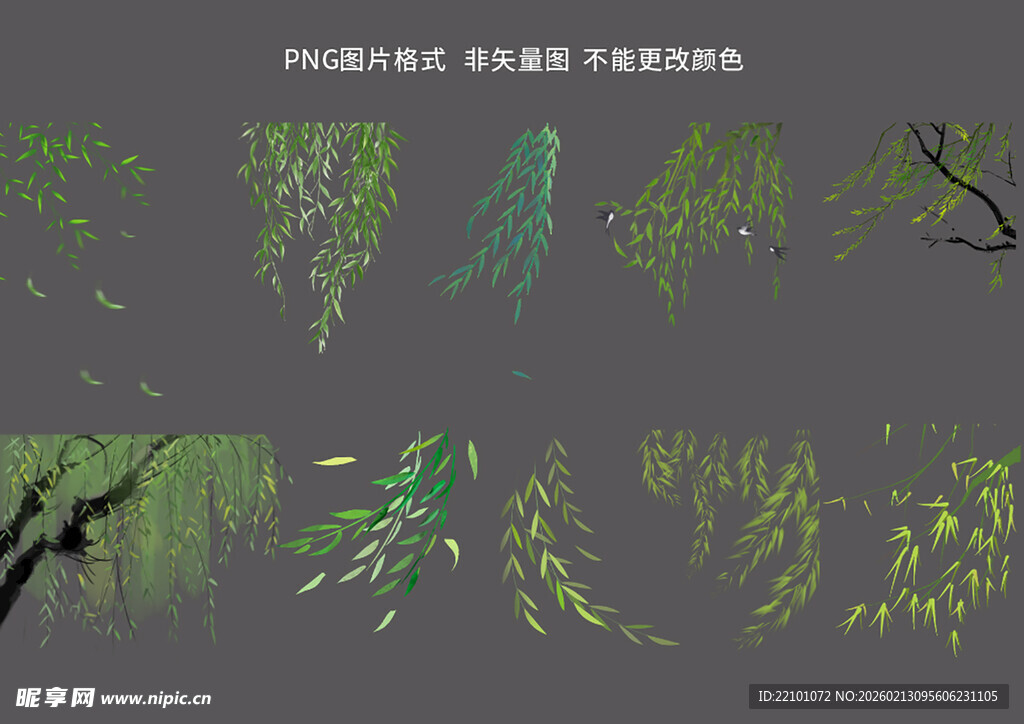 绿色植物枝叶PS笔刷素材