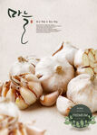 蔬菜生鲜海报