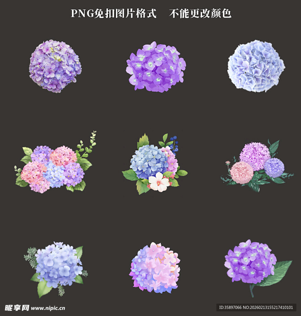 绣球花素材