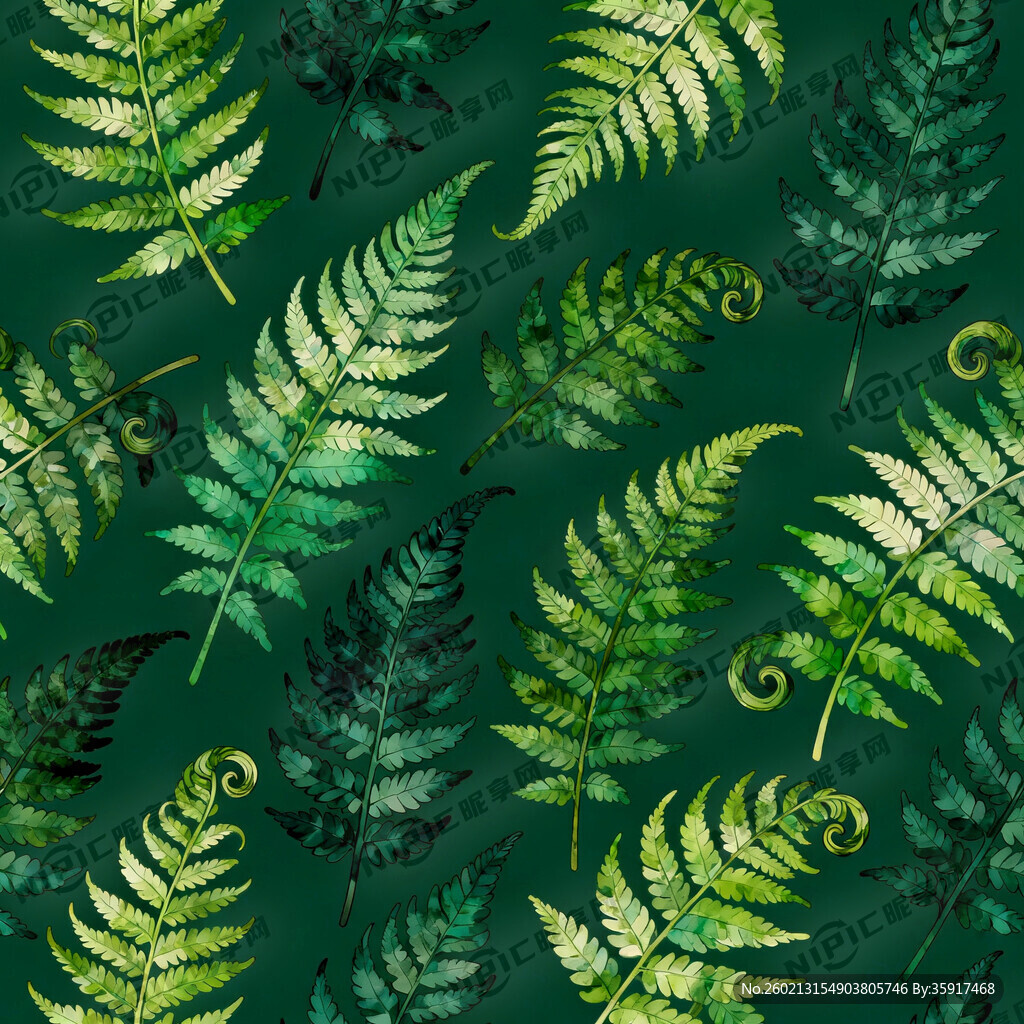 樹葉  深綠色底圖 蕨類