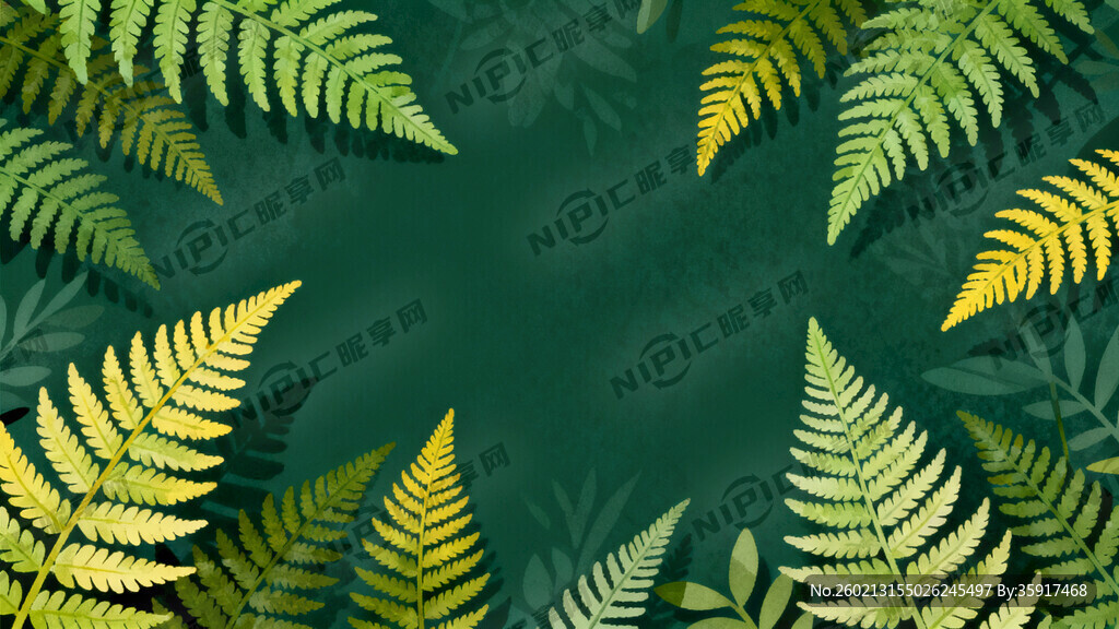 樹葉  深綠色底圖 蕨類