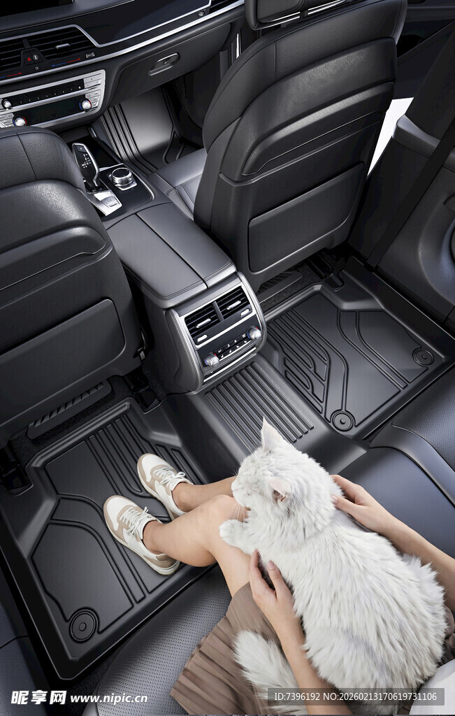 车内猫咪惬意躺坐