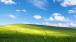 广袤绿野 蓝天白云 美景