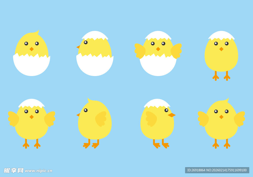 小鸡插画