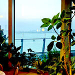 窗边绿植 静享自然景致