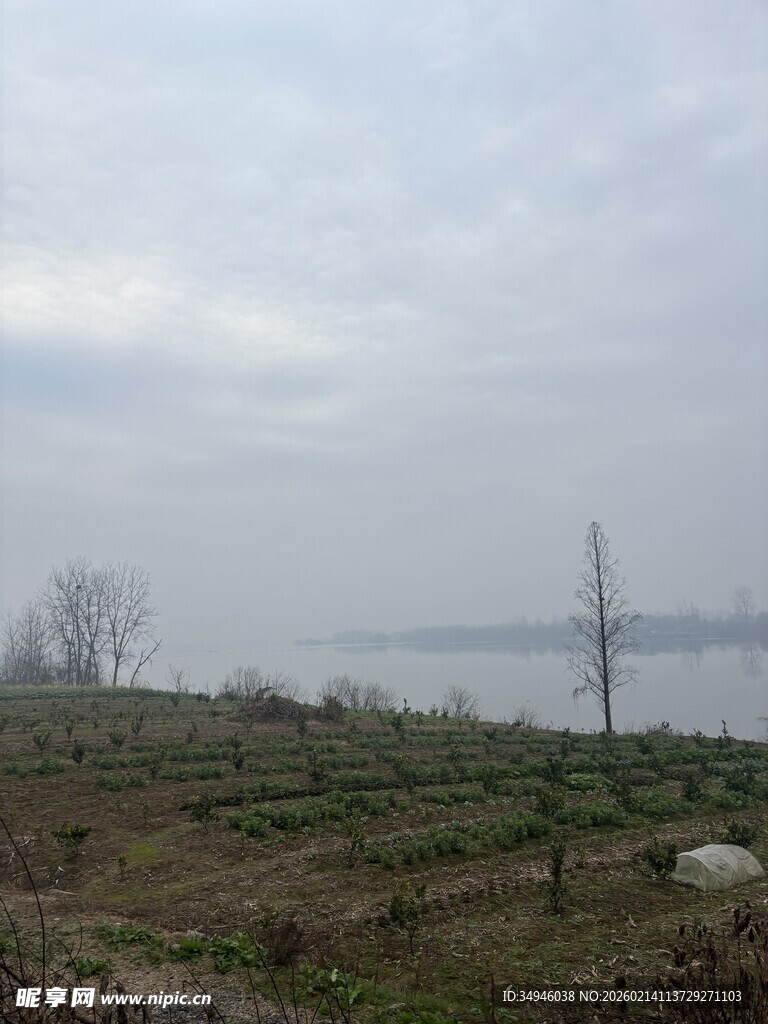 雾霭笼罩下的田野与水域
