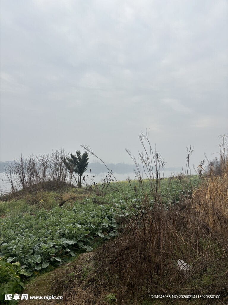 海边荒野景象