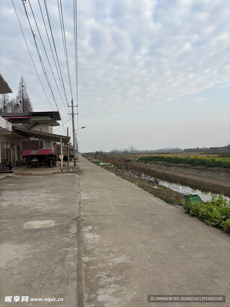 乡村水泥路旁的宁静景象