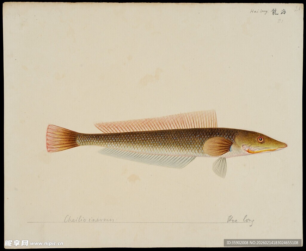 简约木质鱼形工艺品