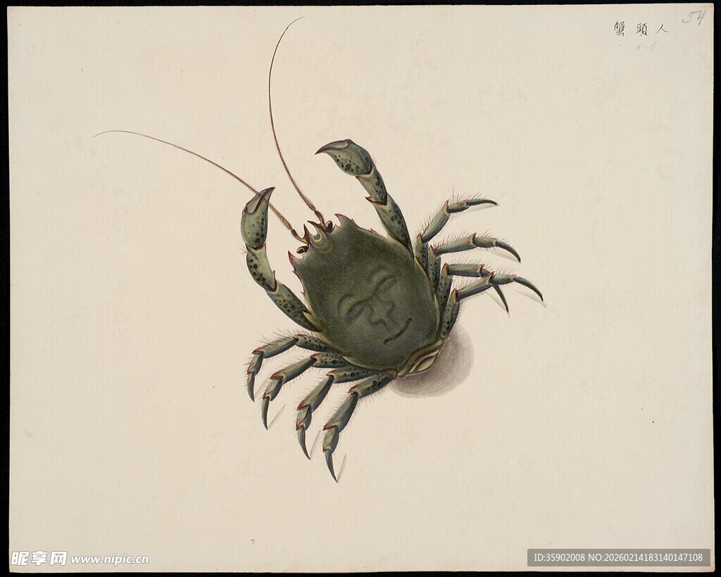 水墨风小龙虾绘画作品