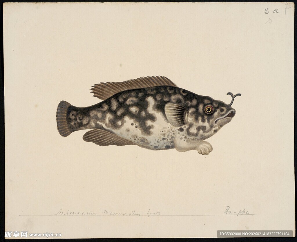 水墨风格鱼的艺术画作