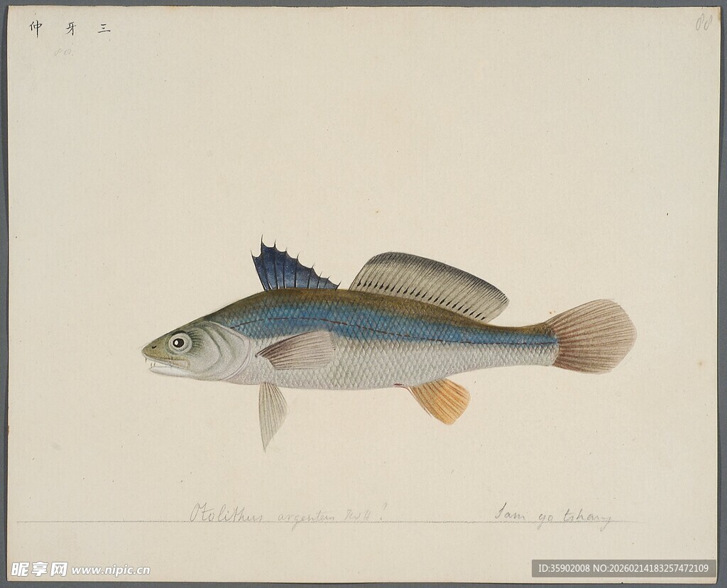 彩色鱼绘画作品展示