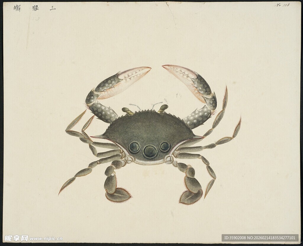 水墨风螃蟹画作