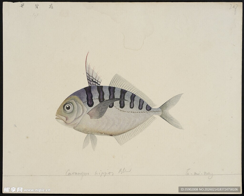 条纹小鱼绘画作品