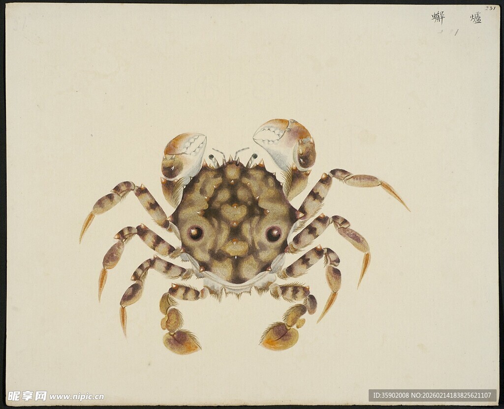 水墨风格螃蟹绘画作品