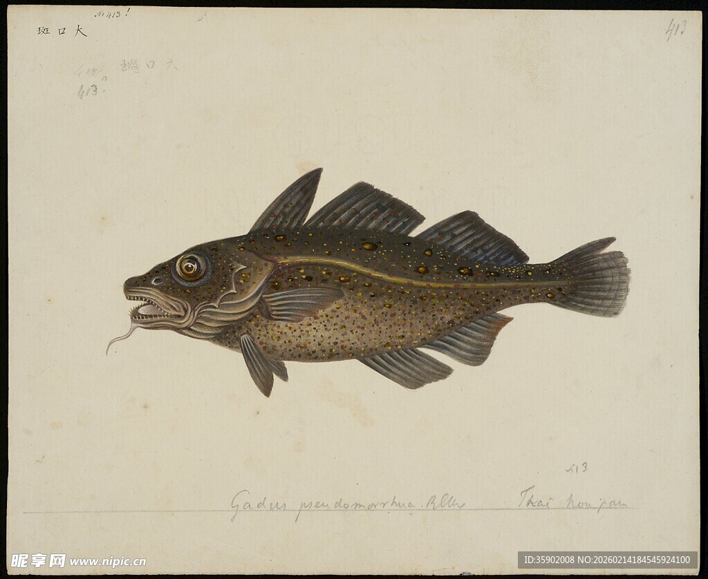 一幅鱼的绘画作品