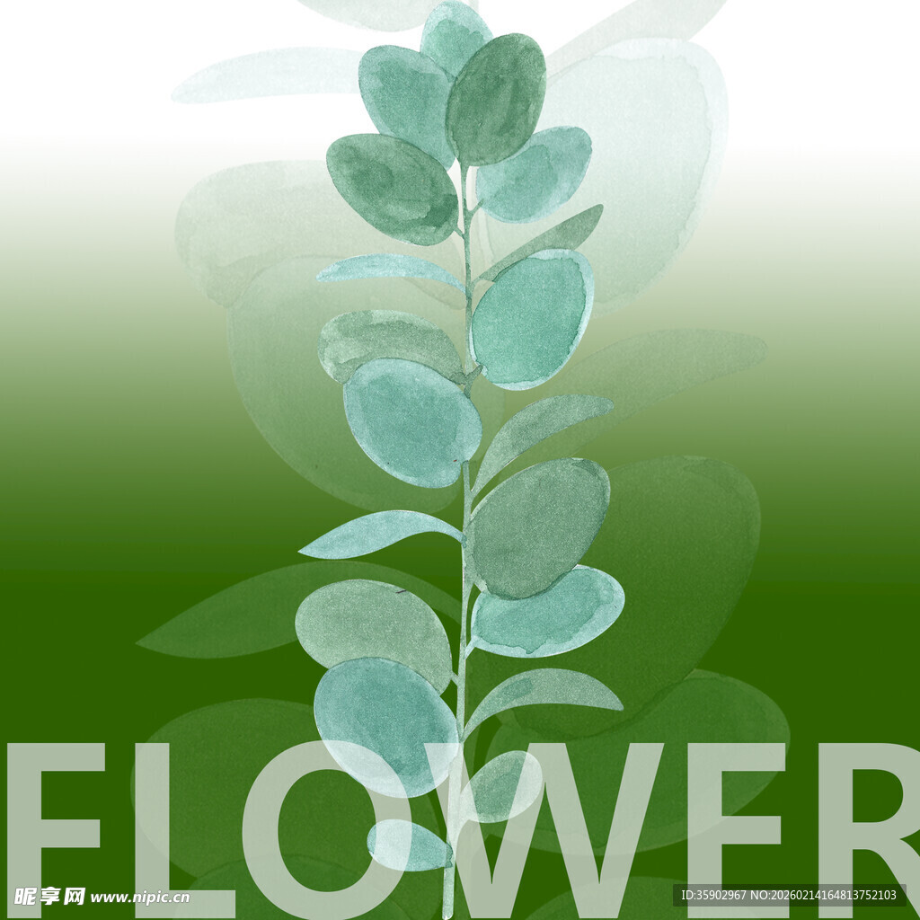 清新尤加利叶花卉图案