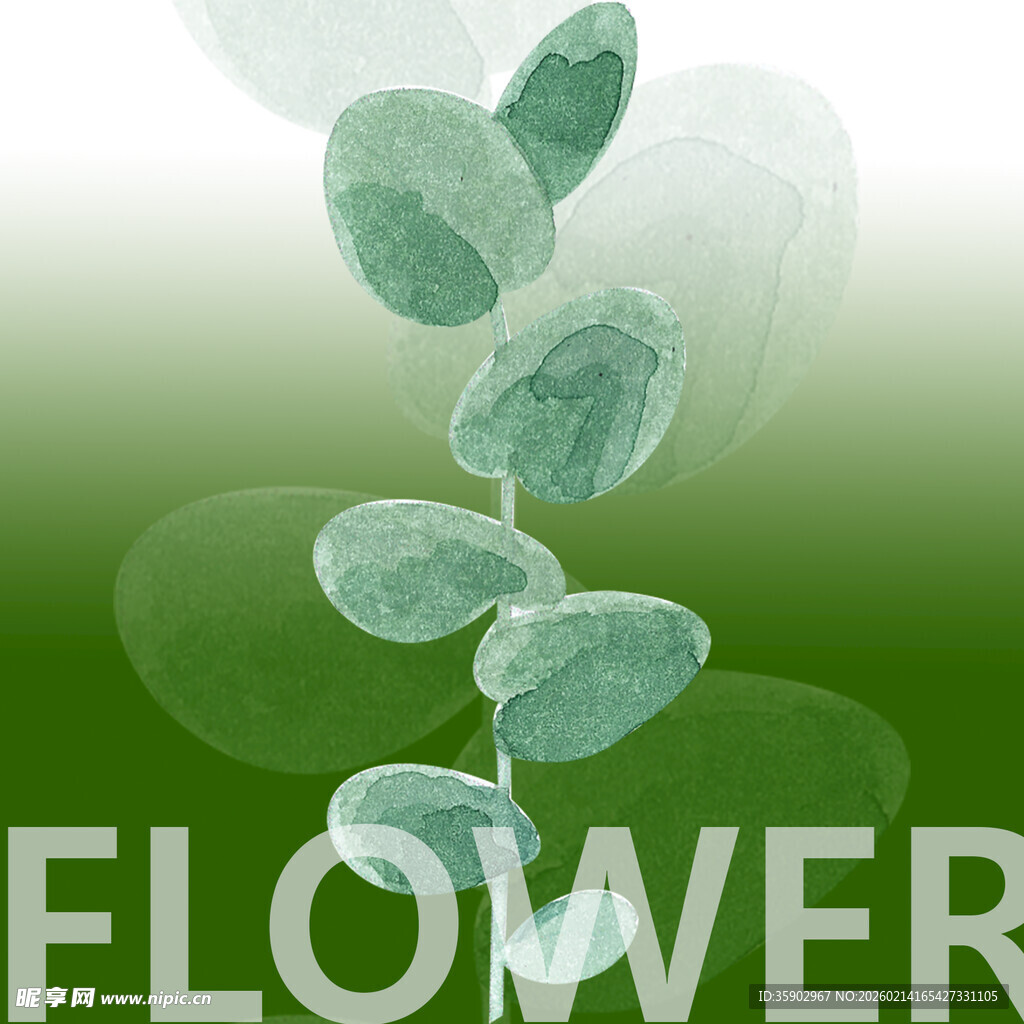 飘落的绿色花瓣