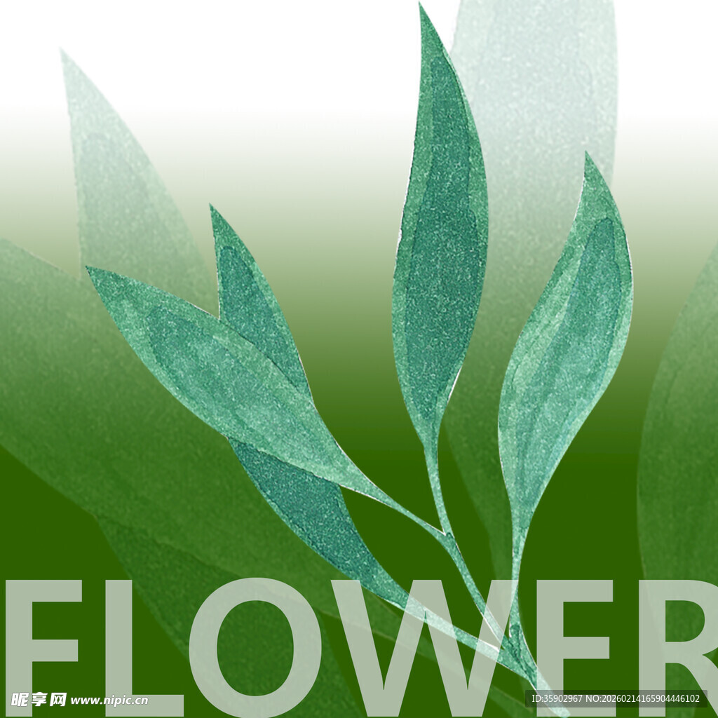 清新绿叶花卉背景图