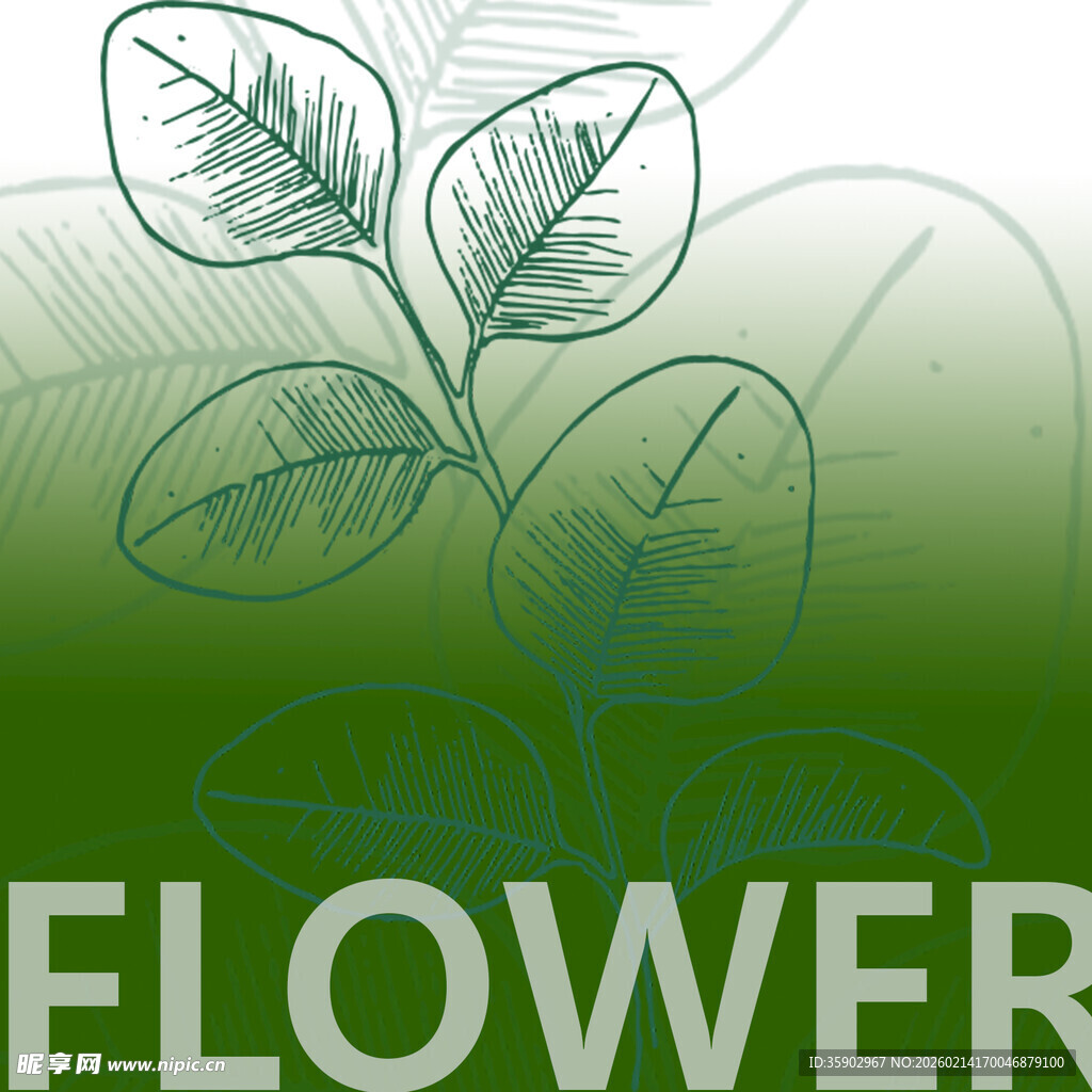 手绘花卉植物图案设计