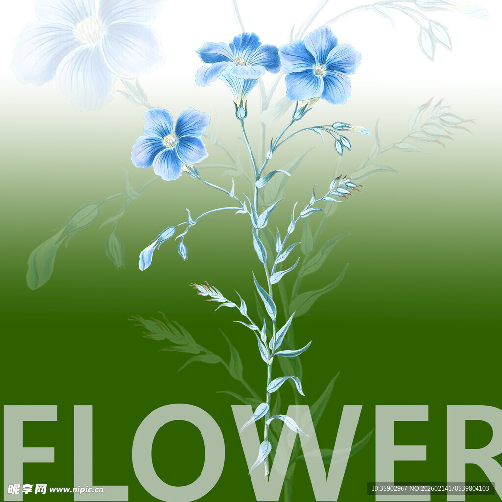 蓝花绽放于绿意背景