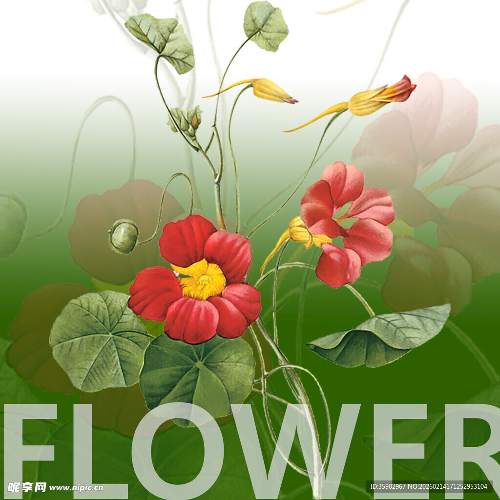 娇艳花卉与灵动小鸟