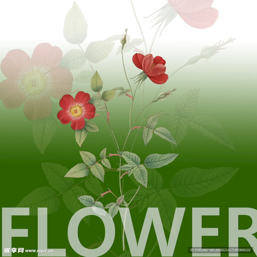 绿色背景中的娇艳花朵