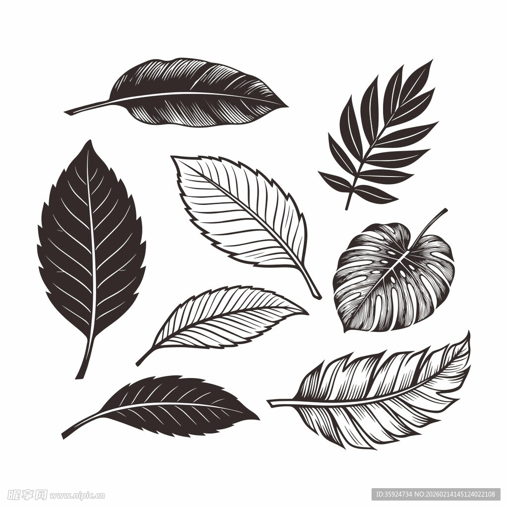 手绘风格多样叶片图案