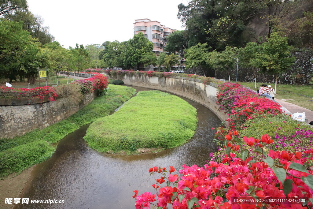 河畔繁花绿意盎然景观