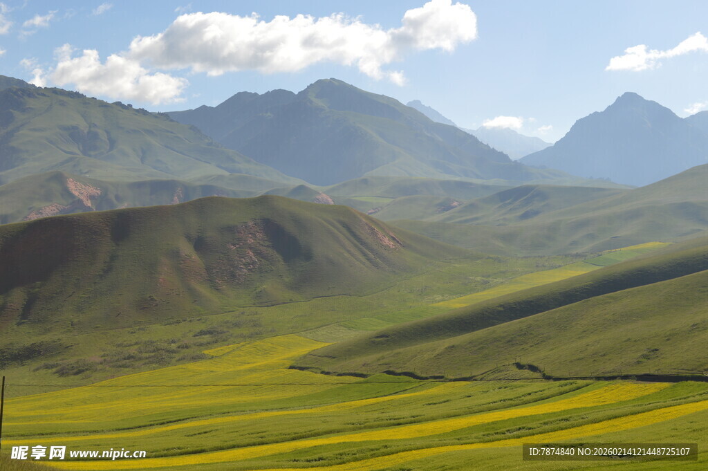 草原花海与远山美景