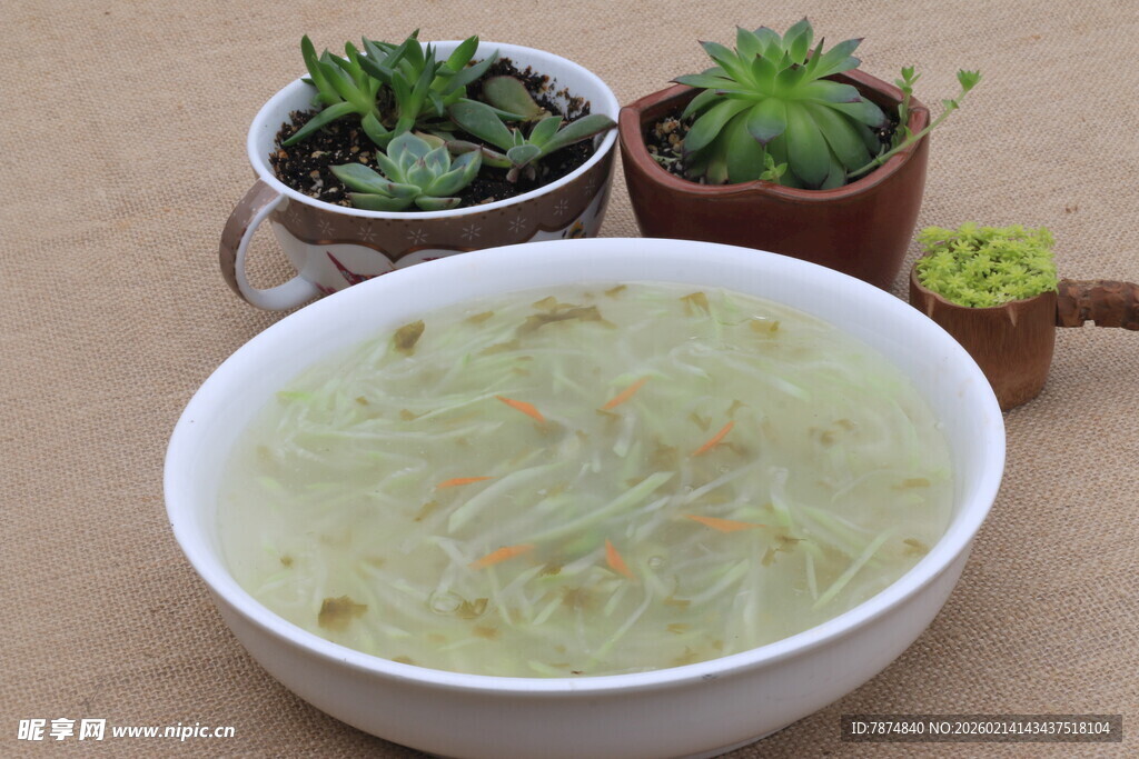 美味蔬菜汤搭配可爱多肉