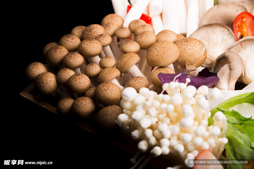 多样新鲜菌菇蔬菜组合
