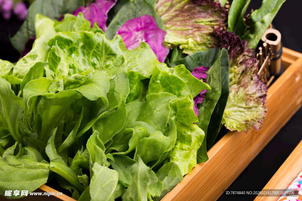 新鲜多彩生菜蔬菜展示