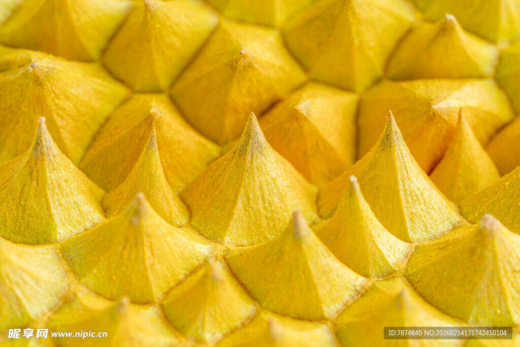 黄色菠萝外皮特写