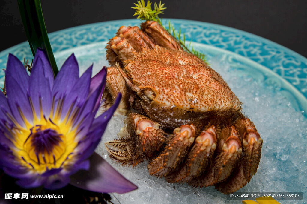 蓝盘上的螃蟹与紫色莲花