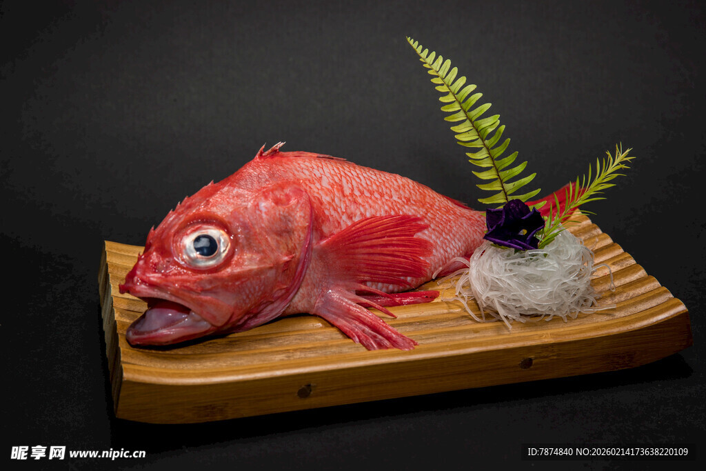 鲜红大眼鱼头配绿植