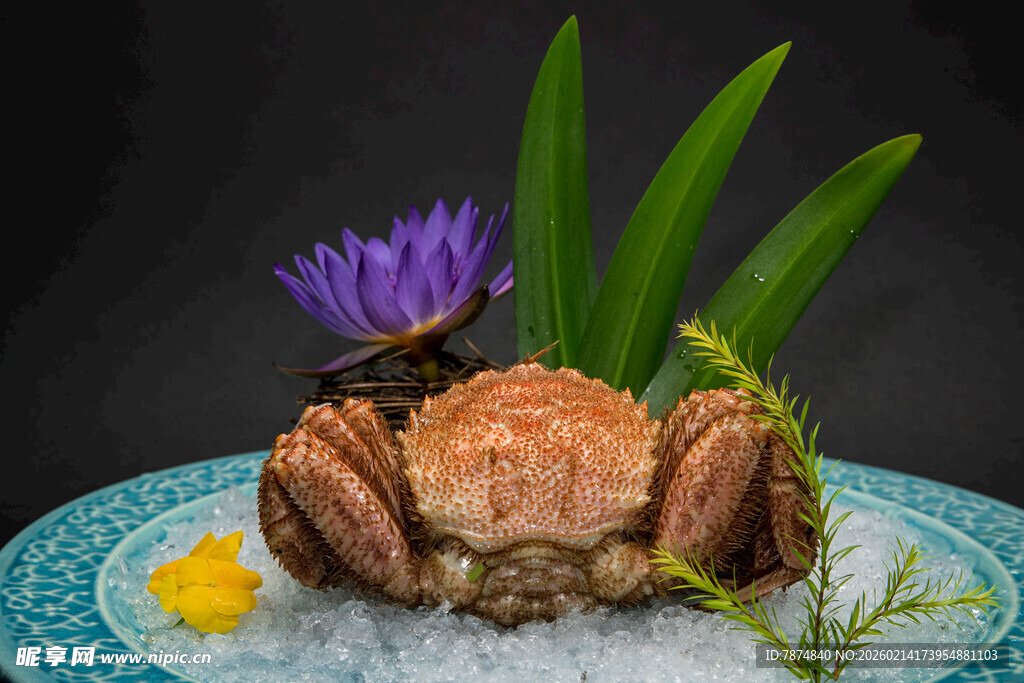 冰镇紫花配蟹精致摆盘