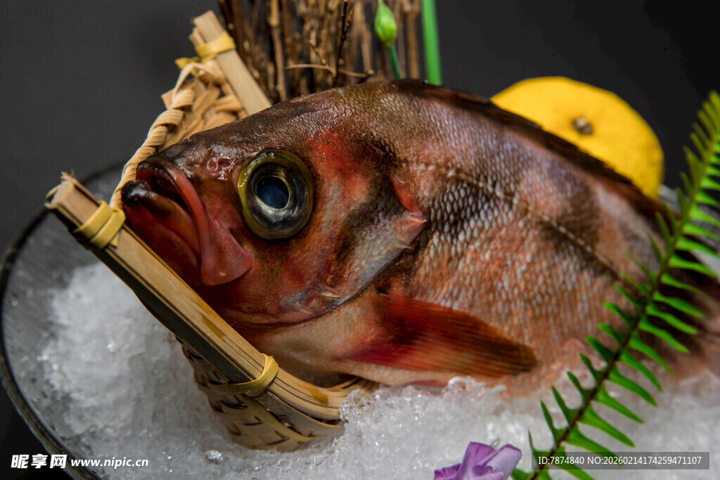 冰鲜大眼红鱼 尽显鲜美