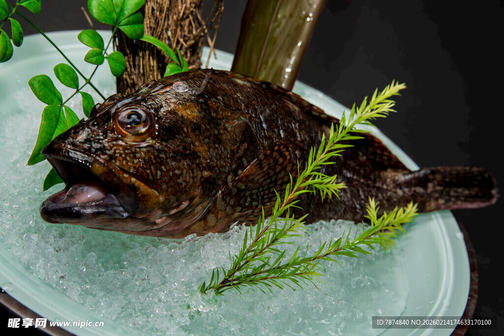 冰上鲜鱼配绿植装饰