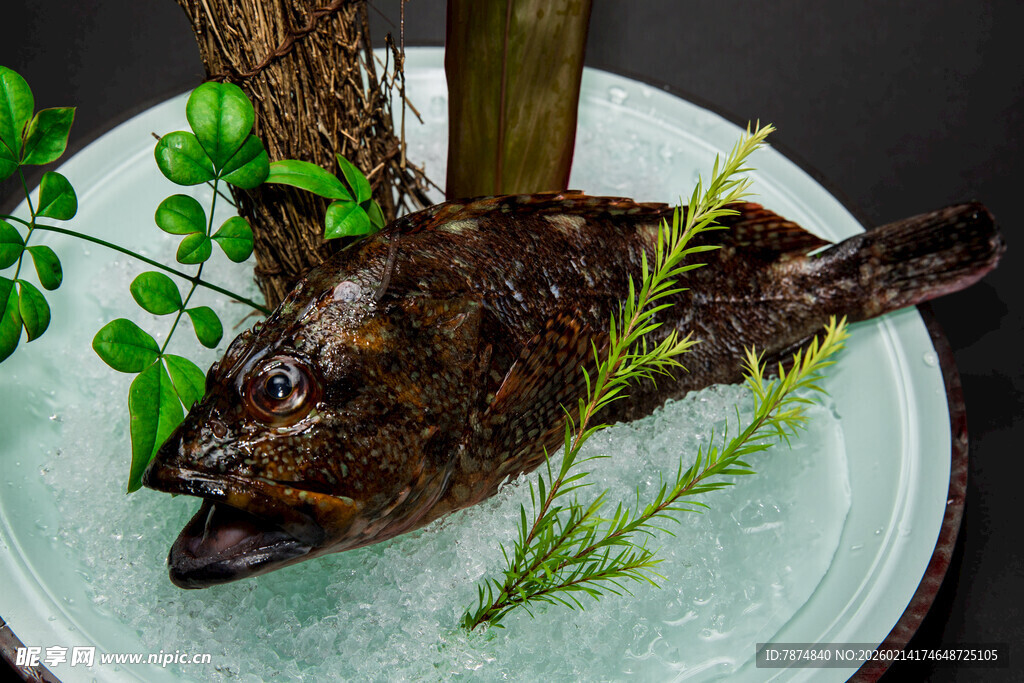 盘中鲜鱼 伴绿植显雅致