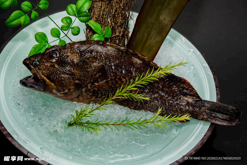 冰盘上的新鲜深海鱼