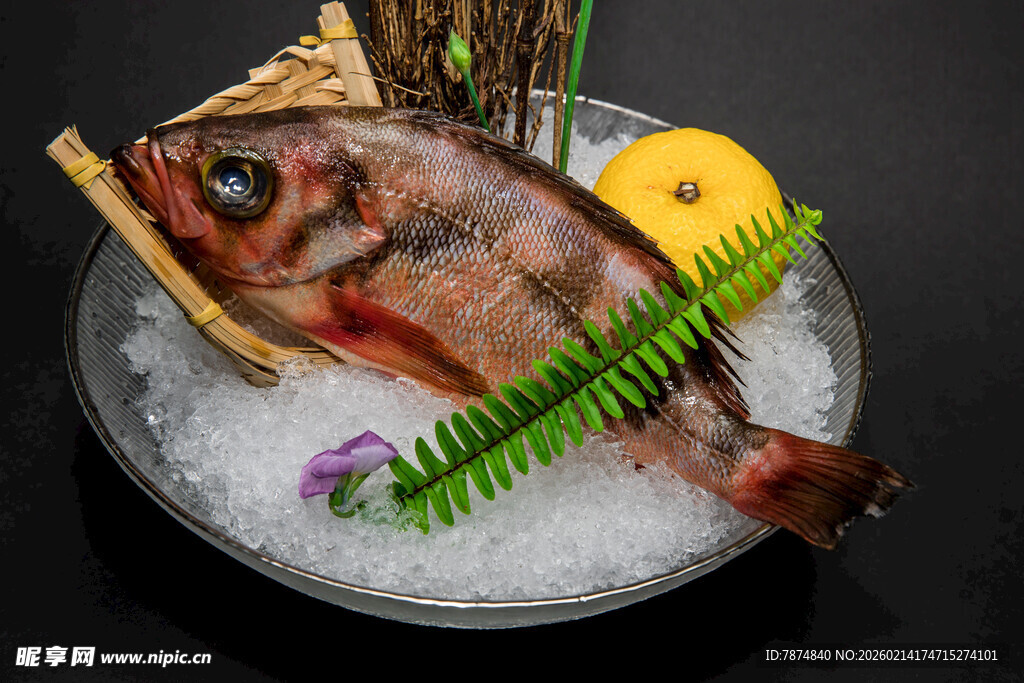 冰鲜海鱼摆盘展示