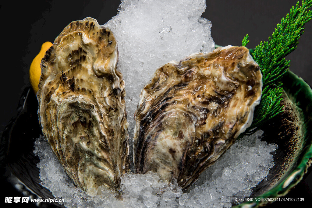 冰鲜生蚝 尽显鲜美滋味